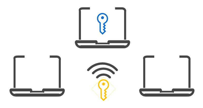 network license